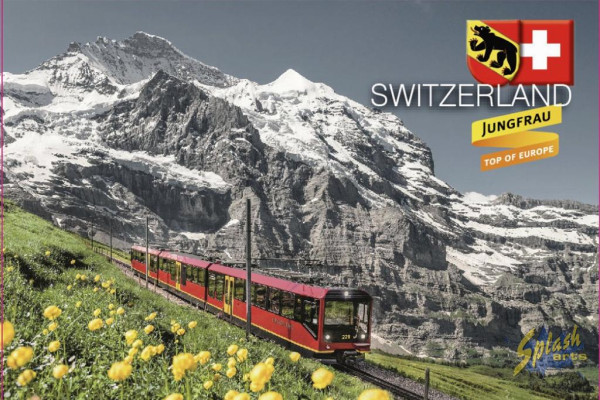 Artikel Bild für FM24