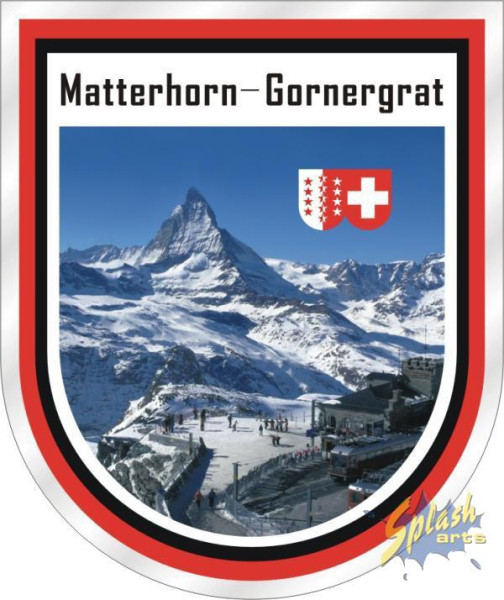 Artikel Bild für SST100