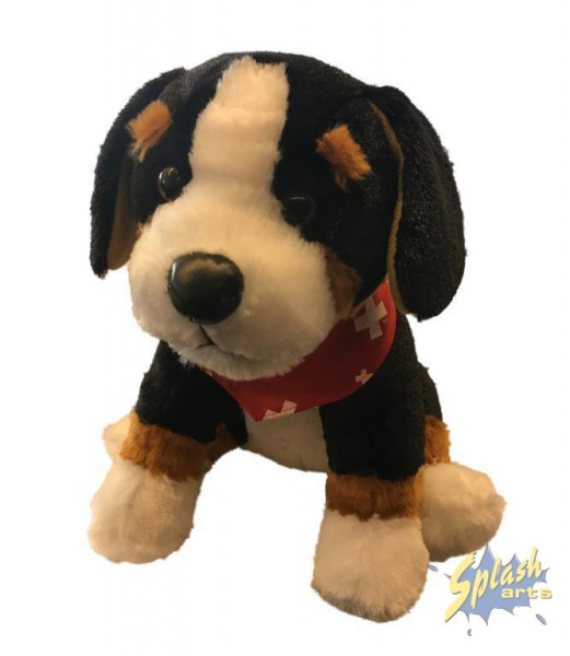 Artikel Bild für SSH2