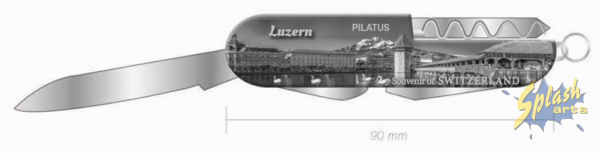 Pocket knife - Lucerne silver
