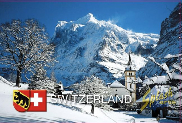 Artikel Bild für FM13