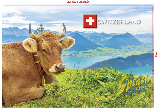 Aimant photo - La Suisse avec une vache