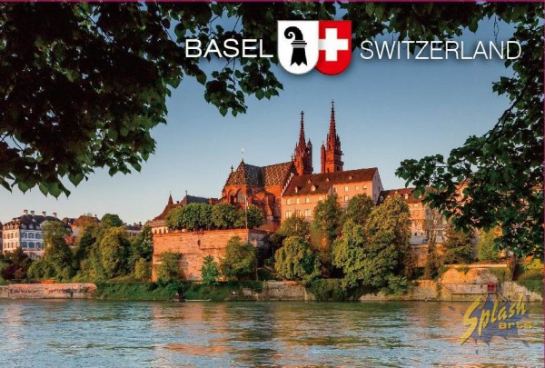 Basel picture magnet