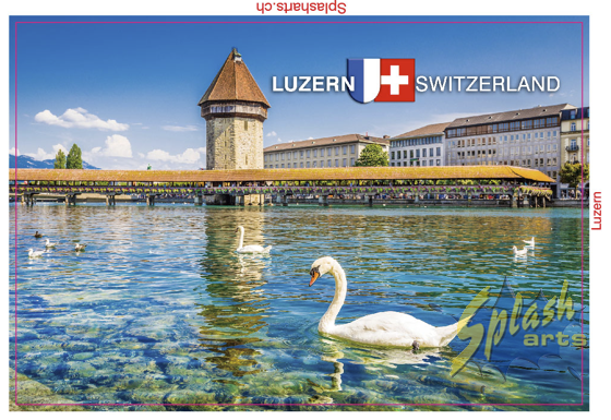Aimant photo - Lucerne, Pont de la Chapelle avec cygne