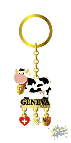 Artikel Bild für SKR93/GE