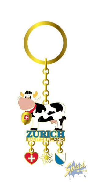 Artikel Bild für SKR93/ZH