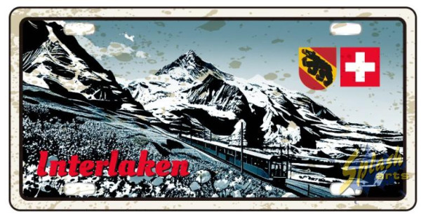 Artikel Bild für PLV/INT1